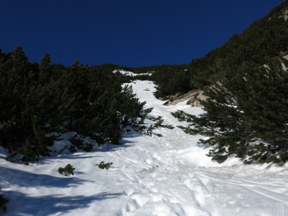 Abisso Marino